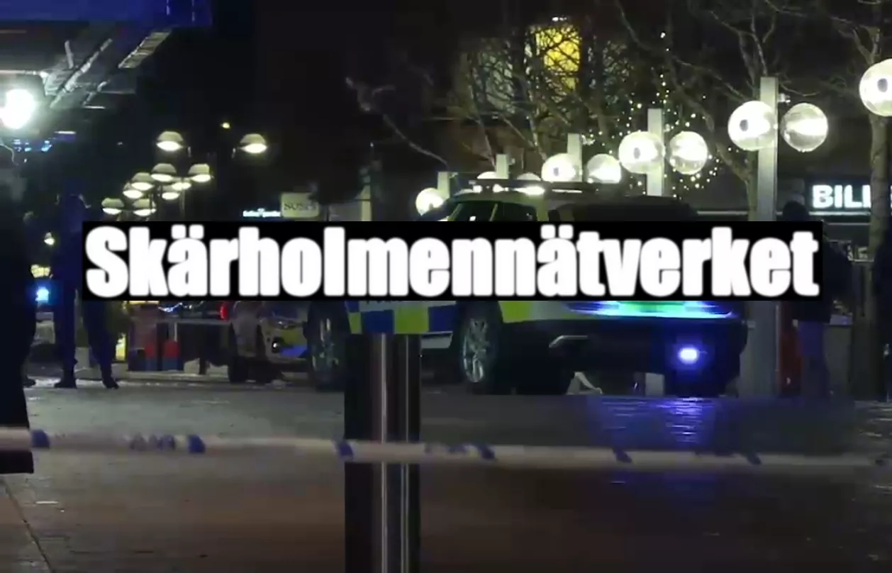 Gängen i Stockholm - Skärholmennätverket