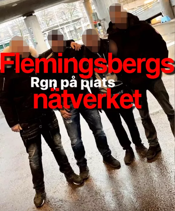 Gängen i Stockholm - Flemingsbergsnätverket