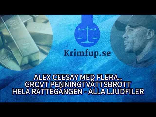 Känd artist åtalad för grovt penningtvättsbrott - Ljudfiler