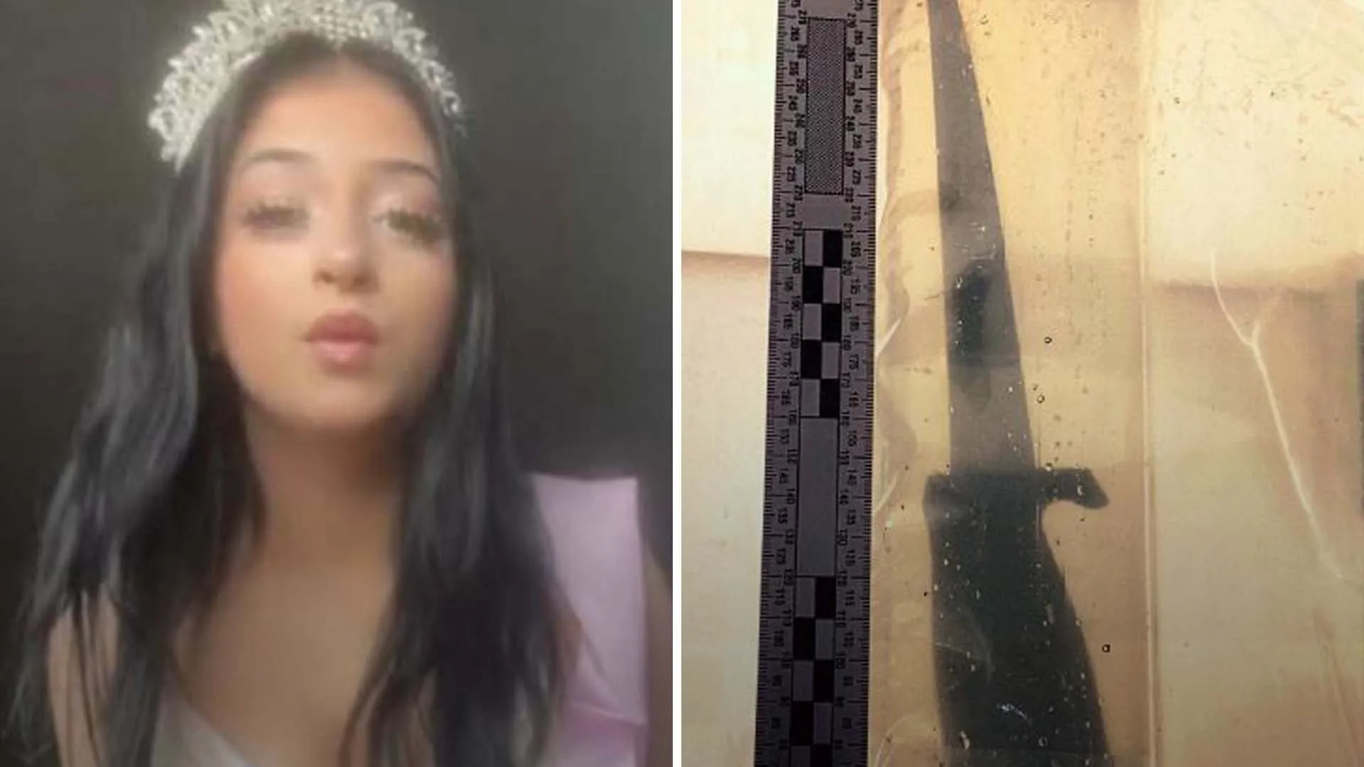 Mordet på Emilia i Landskrona – två flickor åtalas