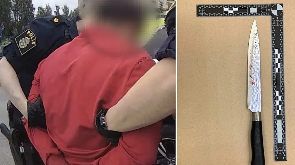 Man döms för försök till mord på sin mamma i Boden