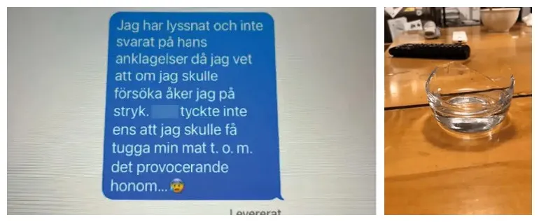 Greven Nils Posse döms för grov kvinnofridskränkning