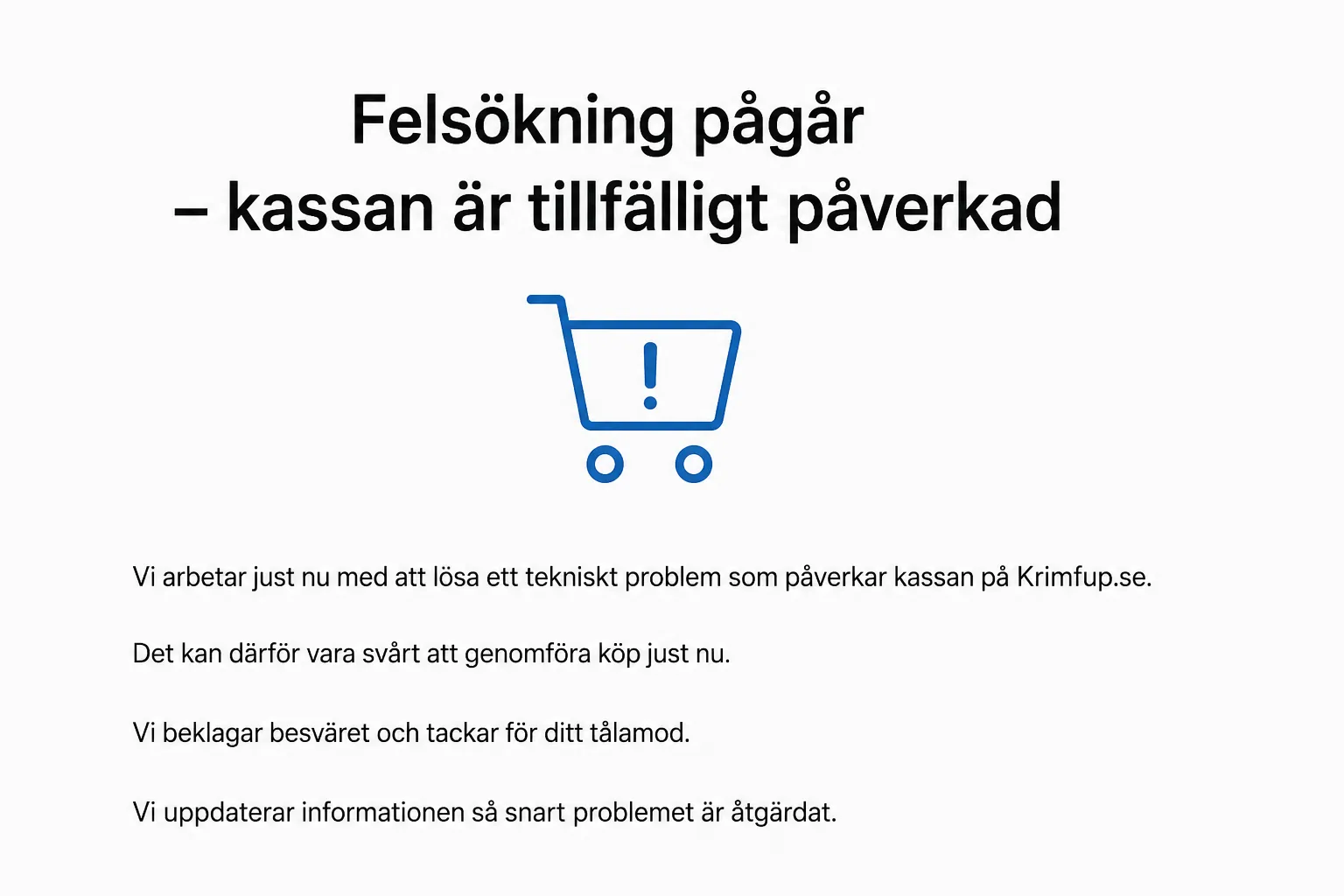 Information: Felsökning av kassan pågår